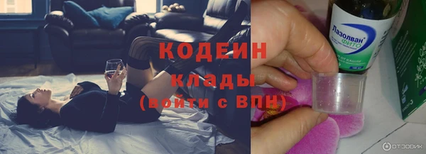 гашик Лагань