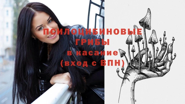 первитин Ладушкин