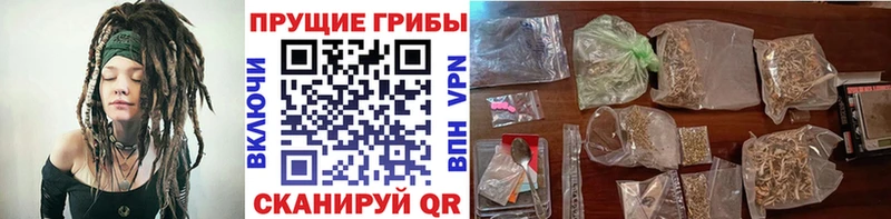 как найти закладки  Самара  Псилоцибиновые грибы Cubensis 